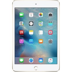 Désoxydation Ipad Mini 4 Peruwelz (Tournai)