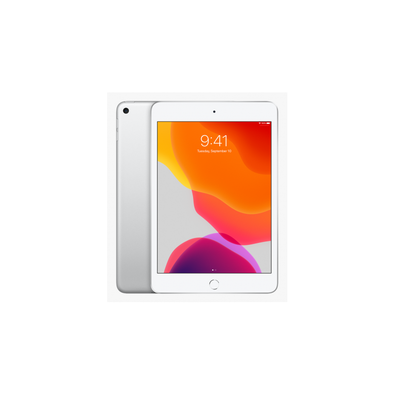 Diagnostic Ipad 7 (10.2) -(2019) Peruwelz (Tournai)