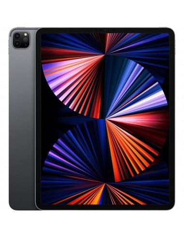 Diagnostic Ipad Pro 12.9 5eme génération Peruwelz (Tournai)