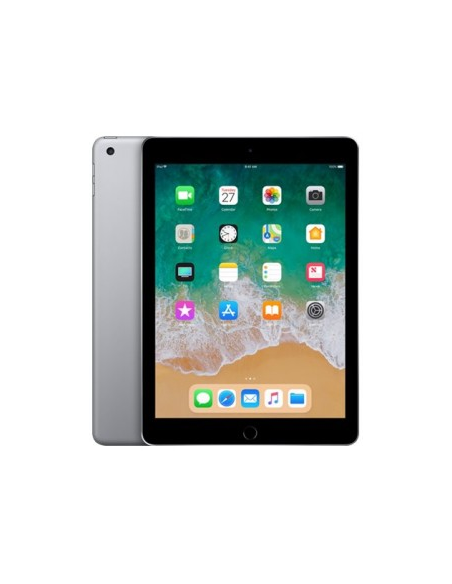 iPad 5  2017  ( A1822 )