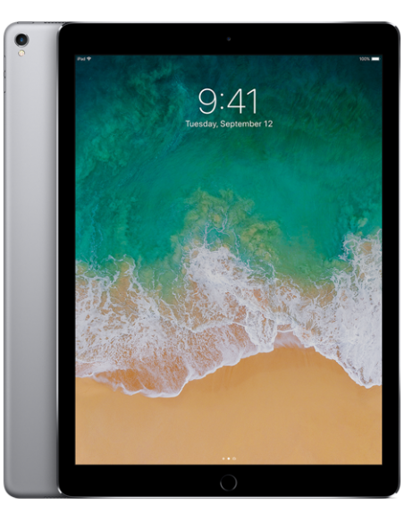 iPad Pro 12.9 2nd Génération (  A1670 )