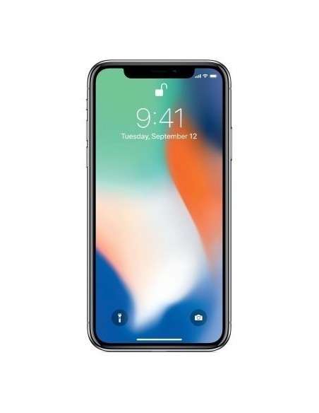 iPhone X